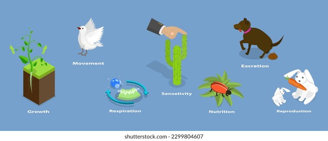 3D Isometric Flat Vector Conceptual Illustration of Characteristics Of Living Things, Educational Diagram