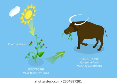 Ilustración conceptual de vectores planos isométricos 3D de Autotroph y Heterotropía, clasificación biológica