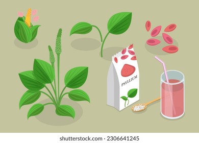 3D Isometric Flat Vector Conceptual Illustration of Psyllium Plant, Organic Healthy Vegan Dietary Fiber