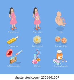 3D Isometric Flat Vector Conceptual Illustration of Pregnancy And Obstetrics, Embryo Development