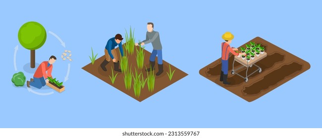 3D Isometric Flat Vector Conceptual Illustration of Sustainable Farming, Natural Agriculture