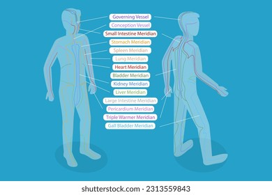 3D Isometric Flat Vector Conceptual Illustration of Body Meredians, Traditional Chinese Medicine