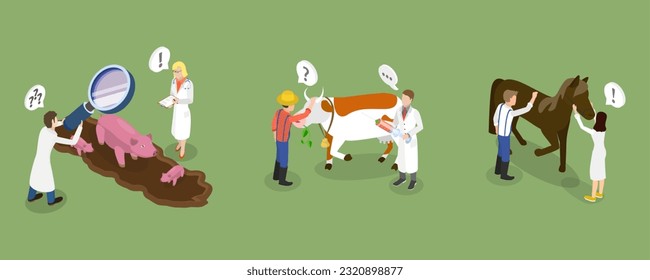 3D Isometric Flat Vector Conceptual Illustration of Farm Veterinary Doctor, Health Check