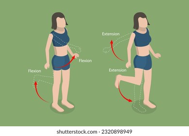 Ilustración conceptual del vector plano isométrico 3D de la flexibilidad y la extensión, movimiento corporal humano