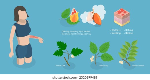 Vector plano isométrico 3D Ilustración conceptual de hiedra venenosa, alergia a plantas venenosas