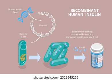 Ilustración conceptual de la insulina humana recombinante, ciencia y tecnología 3D isométrica e isométrica