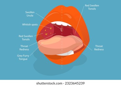 3D Isometric Flat Vector Conceptual Illustration of Parts Of Human Mouth, Educational Diagram
