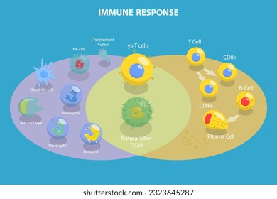 3D Isometric Flat Vector Conceptual Illustration of Immune Response, Cells of The Immune System