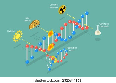 3D Isometric Flat Vector Conceptual Ilustración de los daños del ADN, proceso de envejecimiento