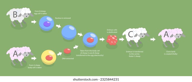 3D Isometric Flat Vector Conceptual Illustration of Animal Cloning, Biotechnology Example