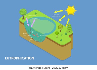 3D Isometric Flat Vector Conceptual Illustration of Eutrophication, Euphotic Zone