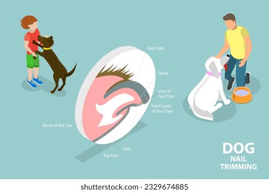 3D Isometric Flat Vector Conceptual Illustration of Dog Nail Trimming, Veterinary Pedicure