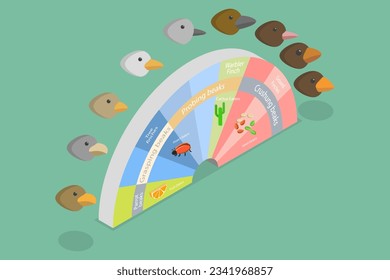 3D Isometric Flat Vector Conceptual Illustration of Adaptive Radiation, Natural Selection