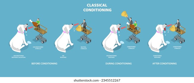 3D Isometric Flat Vector Conceptual Illustration of Classical Conditioning, Pavlovian Respondent Learn Scheme