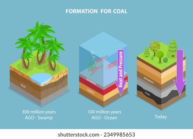 3D Isometric Flat Vector Conceptual Illustration of Coal Formation, Educational Diagram