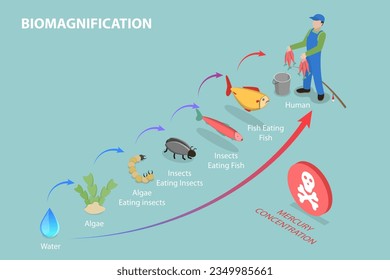 3D Isometric Flat Vector Conceptual Illustration of Biomagnification, Educational Outline Diagram