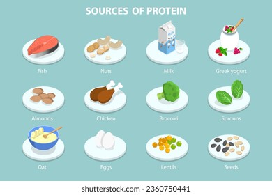 Ilustración conceptual del vector plano isométrico 3D de las fuentes de proteína