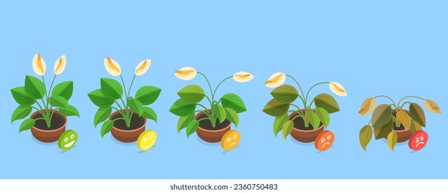 3D Isometric Flat Vector Conceptual Illustration of Dying Plant