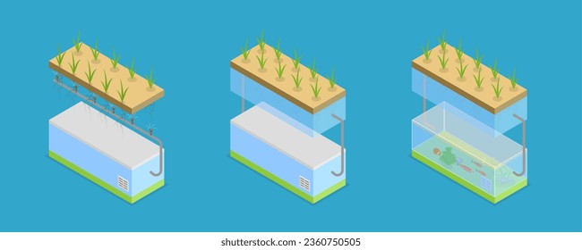 3D Isometric Flat Vector Conceptual Illustration of Growing Systems