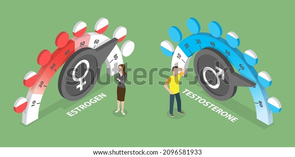 3D Isometric Flat Vector Conceptual Illustration of\
Hormone Level, Estrogen and Testosterone Production in Male and\
Female Body
