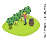 3D Isometric Flat Vector Illustration of Vineyard Harvesting, Grape Selection and Cultivation, Wine Production. Item 2