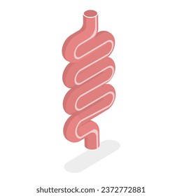 3D Isometric Flat Vector Illustration of Digestive System Anatomy. Item 4