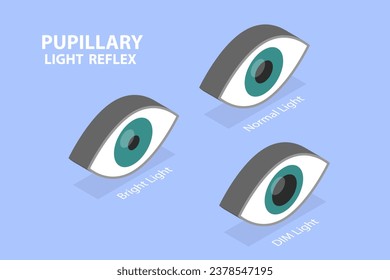 3D Isometric Flat Vector Illustration of Pupillary Light Reflex