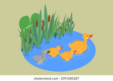 3D Isometric Flat Vector Illustration of Ugly Duckling Fairy Tale