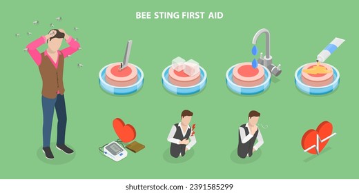 Isométrico vector plano 3D Ilustración de Bee Sting First Aid