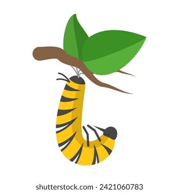 3D Isometric Flat Vector Illustration of Butterfly Metamorphosis, 7 Steps Life Cycle. Item 6