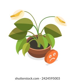 3D Isometric Flat Vector Illustration of Dying Plant, Phases a Flower Withering. Item 2