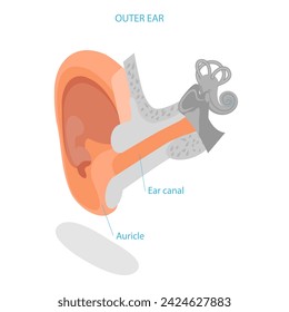 Ilustración vectorial plana isométrica 3D de la anatomía del oído humano, esquema médico etiquetado. Tema 3