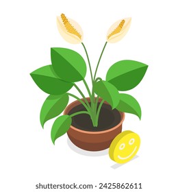 3D Isometric Flat Vector Illustration of Dying Plant, Phases a Flower Withering. Item 5