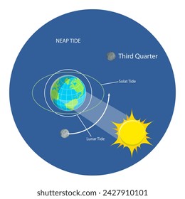 3D Isometric Flat Vector Illustration of Lunar And Solar Tides, Astronomy and Geography Science. Item 1