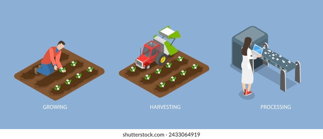 3D Isometric Flat Vector Illustration of Cotton Farm, Agribusiness Textile Industry