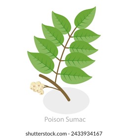 3D Isometric Flat Vector Illustration of Poison Ivy, Allergy to Poison Plants. Item 1