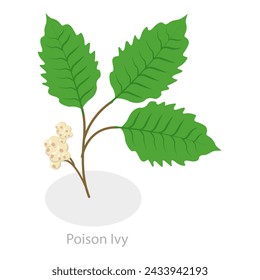 3D Isometric Flat Vector Illustration of Poison Ivy, Allergy to Poison Plants. Item 2