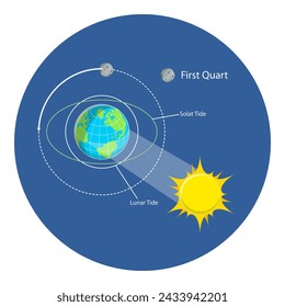 3D Isometric Flat Vector Illustration of Lunar And Solar Tides, Astronomy and Geography Science. Item 4