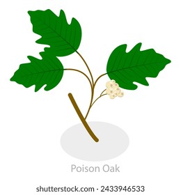 3D Isometric Flat Vector Illustration of Poison Ivy, Allergy to Poison Plants. Item 3