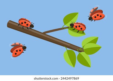 3D Isometric Flat Vector Illustration of Ladybugs, Cute Funny Insects