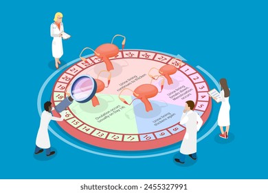 Ilustración vectorial plana isométrica 3D del calendario del ciclo de fertilidad de las mujeres , fase de la ovulación