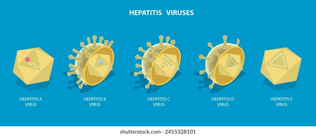 3D Isometric Flat Vector Illustration of Hepatitis Viruses, Liver Disease