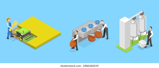 3D Isometric Flat Vector Illustration of Wheat Manufacture Process, Manufacturing Stages