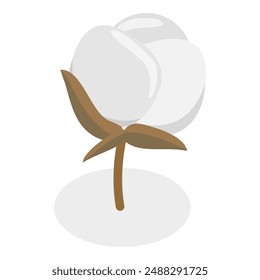 3D Isometric Flat Vector Illustration of Cotton Flower Collection, Pure and Organic Product. Item 6