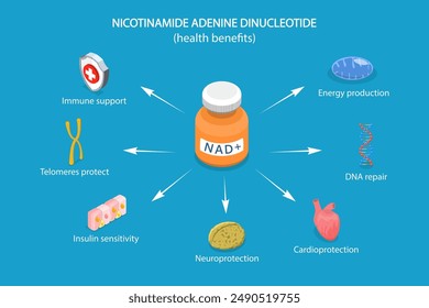 3D-isometrische flache Vektorillustration der gesundheitlichen Vorteile von NAD plus, Anti-Aging-Therapie