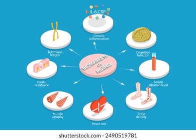 3D Isometric Flat Vector Illustration of Aging Process, Natural Changes in Physical and Mental Capacities