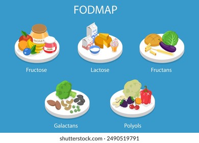 Ilustración vectorial plana isométrica 3D de una dieta baja en Fodmap, nutrición saludable