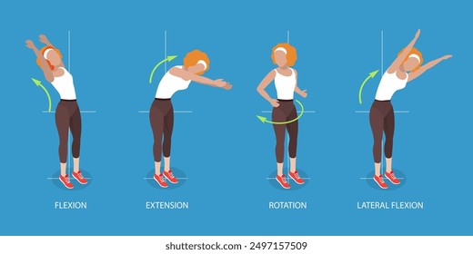 3D Isometrische flache Vektorgrafik von Wirbelsäulenbewegungen, Bewegung und Aktion für Spinae Muskeln Gesundheit