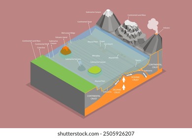 Ilustración vectorial plana isométrica 3D de la estructura de la cuenca oceánica, esquema educativo