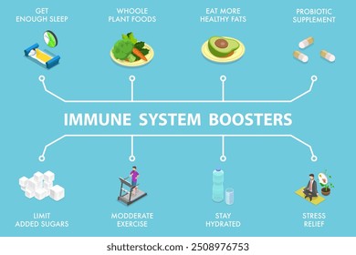 3D Isometric Flat Vector Illustration of Immune System Boosters, Human Health and Immunity